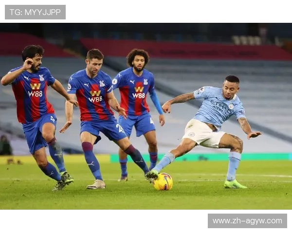 英超狼队10号球员资料及赛场表现分析