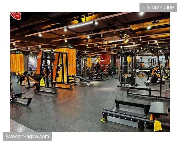 阳光下的力量之源室外健身设备全解析