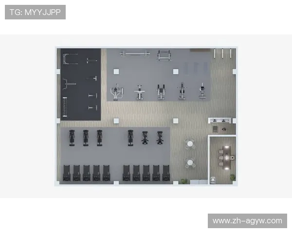 高端健身器材品牌综合实力排名与选购指南